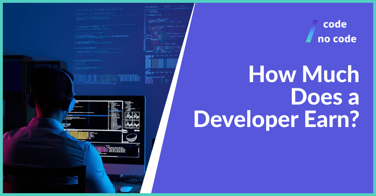 how much does a developer earn