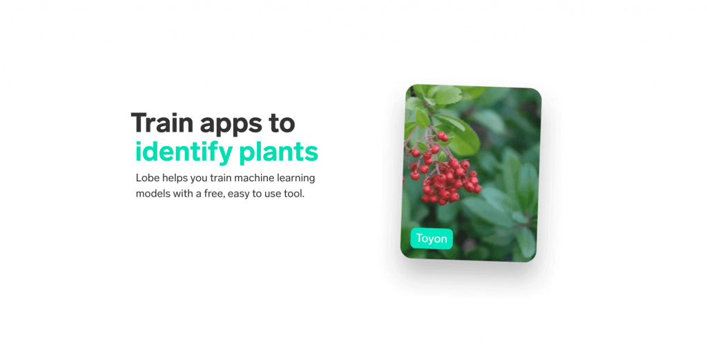 Intro to Lobe, an AI tool that can be used to employ machine learning for your business.